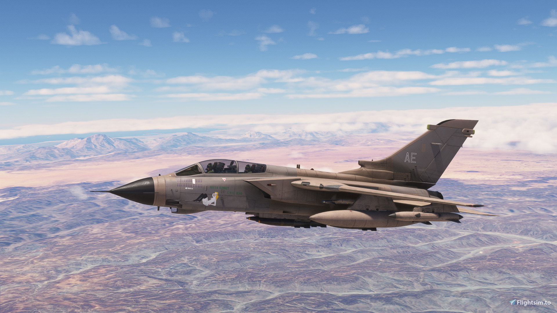 IFE Tornado GR-1 ZD890 