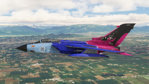 IFE Tornado IDS  155 Gruppo. 50Th Anniversary/Tigermeet 2002 "Black Panther"