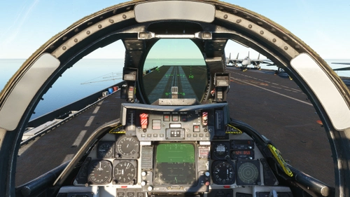 IndiaFoxtEcho / Heatblur Grumman  F-14 Tomcat - Better Cameras