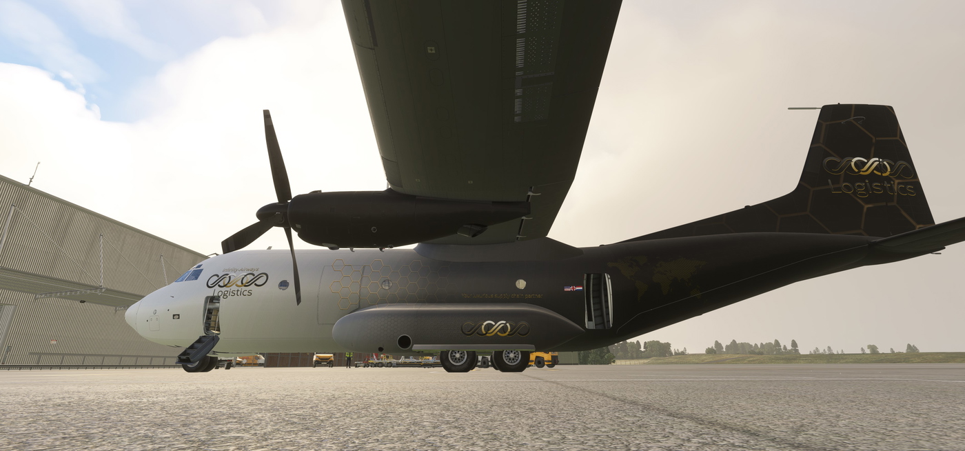 Infinity Airways (Logistics) - Transall C–160 para Microsoft Flight ...