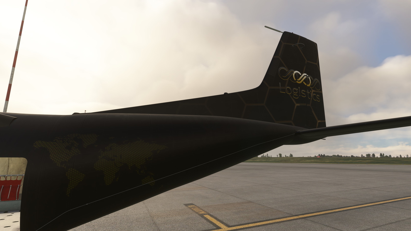 Infinity Airways (Logistics) - Transall C–160 для Microsoft Flight ...