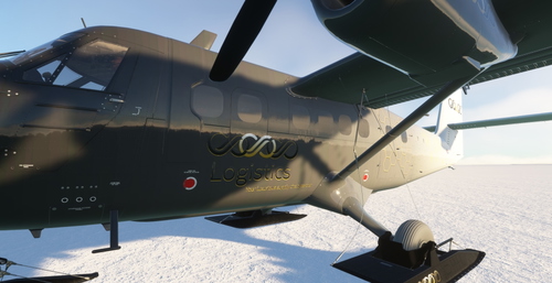 Infinity Airways (Logistics) DHC-6-300 SKI'S