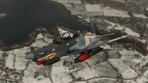 IRIS – Airforce Series – Texan II -  Peru  446  fiction