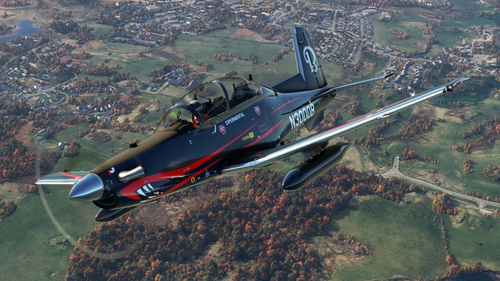IRIS – Airforce Series – Texan II - N3000B  Raytheon Aircraft Company
