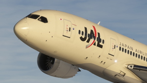 Japan Airlines [JA822J - N1003W] Kuro B787-8 v2 thumbnail 5