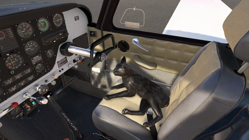 Jiji the Cat Co-Pilot