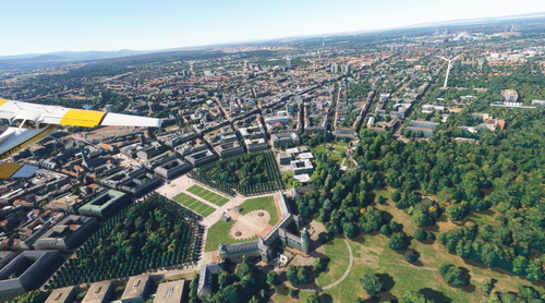 Karlsruhe city tree removed