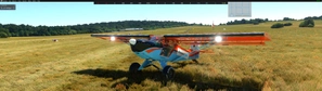 Kit Fox 2 Stage 3 - Suicide Fox thumbnail 4