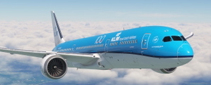 KLM  PH-BHC  "100 years" sticker thumbnail 4