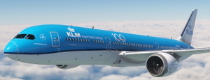 KLM  PH-BHC  "100 years" sticker thumbnail 5