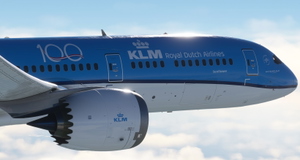 KLM  PH-BHC  "100 years" sticker thumbnail 10
