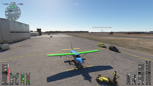 Kodiak blue, yellow and green 