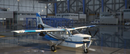 kodiak_ 100 VFR CARGO DELTA