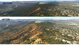 KSEZ Sedona Arizona trees/vegetation mod thumbnail 1