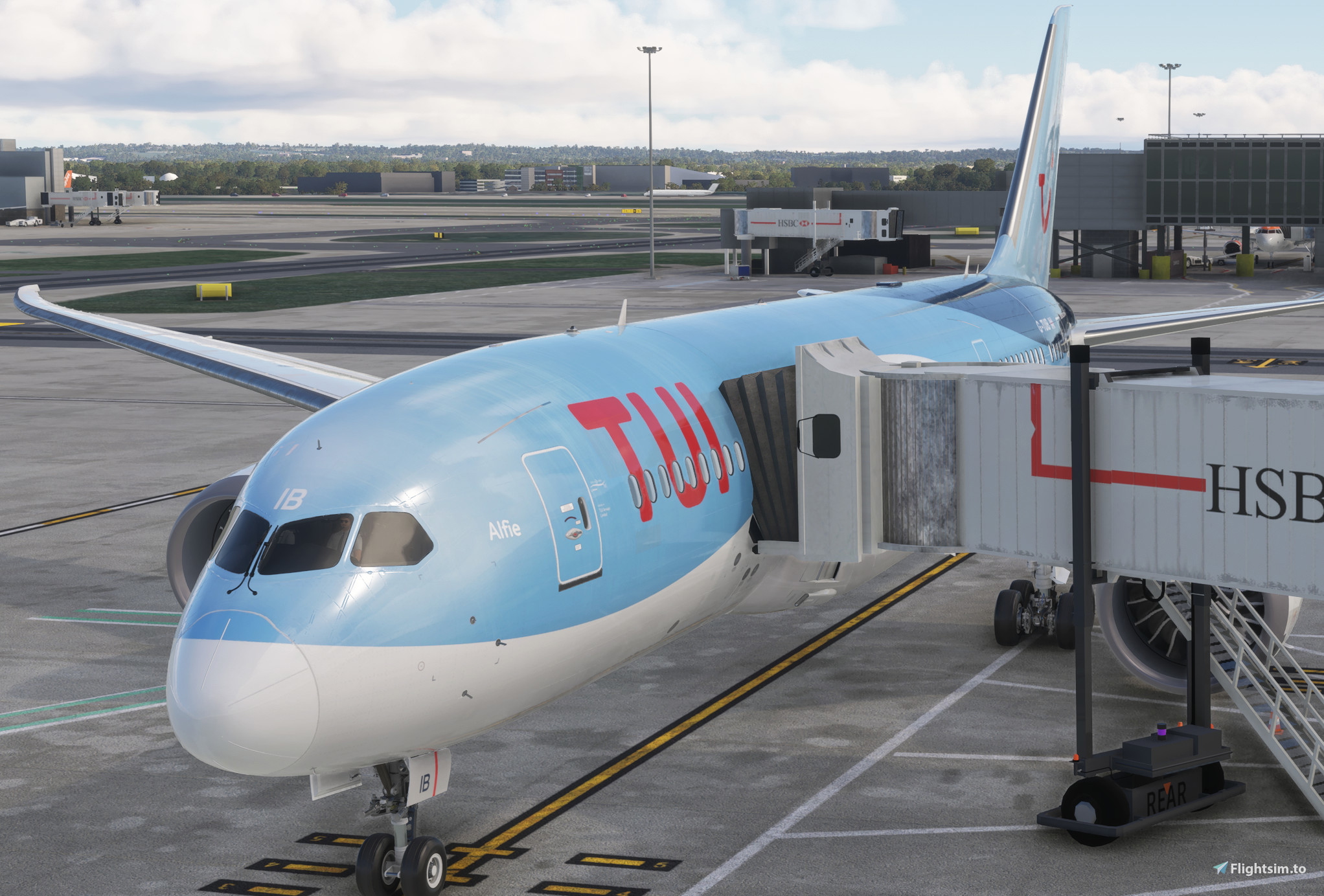 Kuro B787-8 Door 2 Left Visual Mod - Aircraft Liveries for MSFS