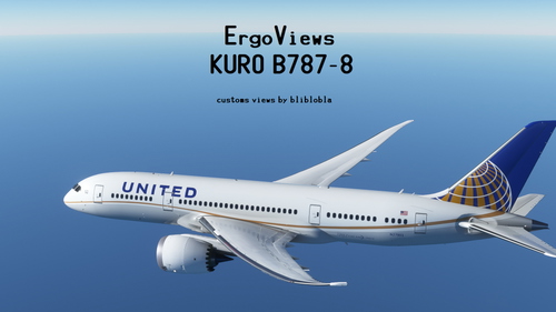 KURO B787-8 Ergonomic Views - ErgoViews V1.0