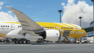  Kuro Boeing 787-8 Scoot 9V-OFJ thumbnail 8
