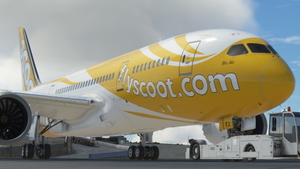  Kuro Boeing 787-8 Scoot 9V-OFJ thumbnail 11
