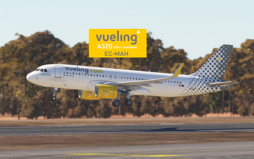 LatinVFR A320ceo Vueling (EC-MAH) 8K