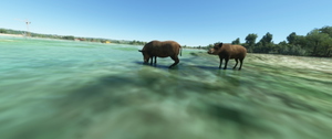 LFDR  La Réole Floudès  (Bordeaux) thumbnail 18