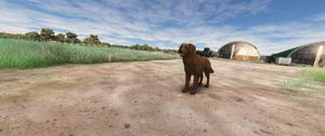 LFNT Pujaut Avignon thumbnail 17