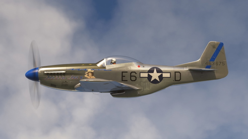 Life of P51D-20-NA 44-63675 Liverie pack (Asobo/MS)