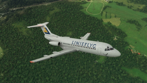 Linjeflyg  "Smile" Fokker F28 Mk 4000 SE-DGP circa 1990 - with cabin