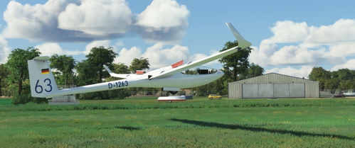 Livery DG-808S D-1263