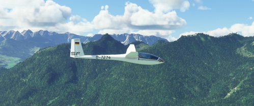 Livery LS4 D-7274