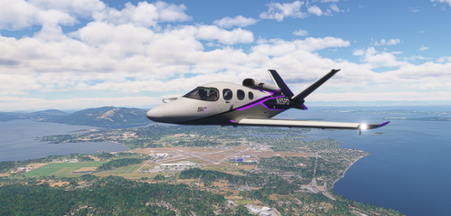Livery SF50 Purple