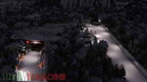 LIZX - Saslonch [fictional] thumbnail 12