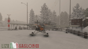 LIZX - Saslonch [fictional] thumbnail 13