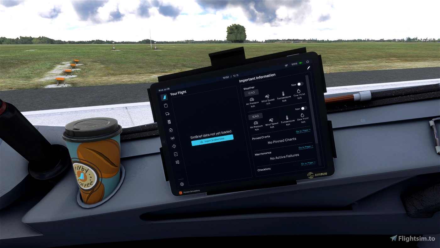 LVFR/Horizon Simulations A321Neo Camera Views for Microsoft Flight ...