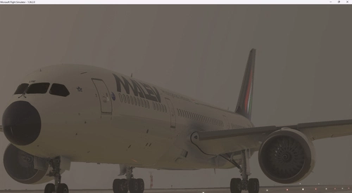 Malév 787-9 FICTIONAL Livery