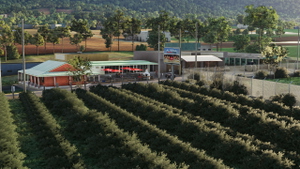 MDCZ - June 14 Airport - Constanza thumbnail 9