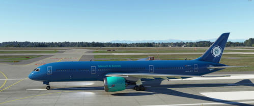 Mensch & Betrieb - Horizon Simulations Boeing 787-9  Liverie - No Tail Mirror