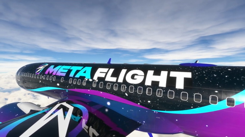 METAFLIGHT   livrée PMDG Boeing 737 - 800 officielle de MetaFlight