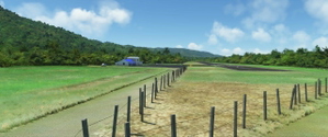 MKKJ - Ken Jones Aerodrome (BETA) thumbnail 10
