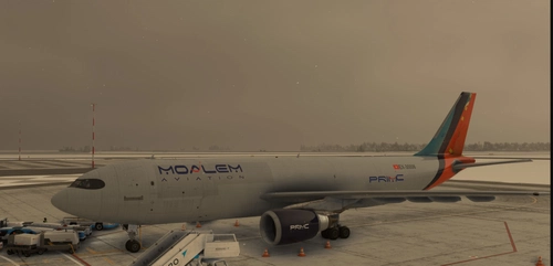 Moalem Aviation EX-30006  | Airbus A300B4-622R(F)