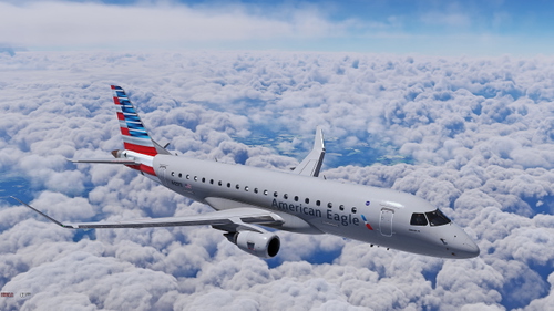 Modified Views FSS E175
