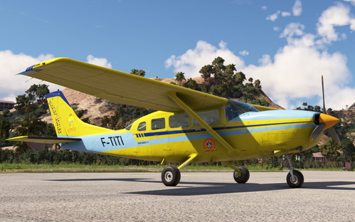 MS/Carenado Cessna 207 Stationair II "Tweety-Bird"