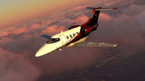 N511WT for Cockspur PH100 thumbnail 8