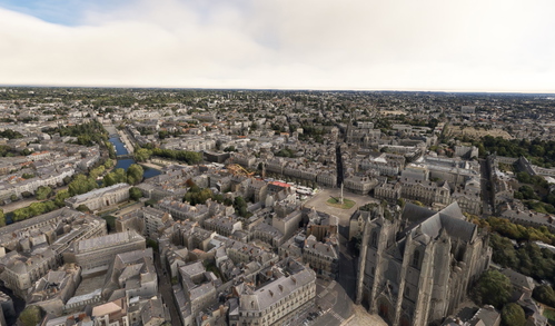 Nantes no tree