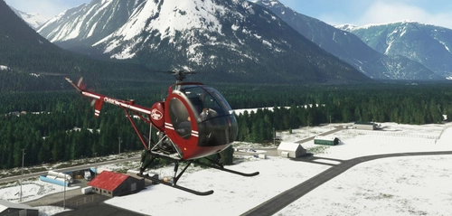 Nemeth Designs Schweizer S300CBi Flight Model Mod