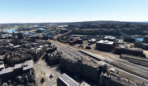 Newcastle no tree