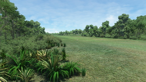 NFTO - Queen Lavinia Airport - Niuafo'ou - Tonga thumbnail 6