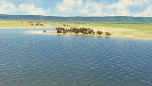 Ngorongoro-Animals + Airstrip HTNV thumbnail 7