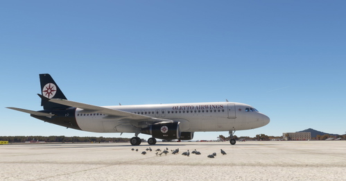 Fenix A320 - V2 - Oletto Airwings [FICTIONAL]