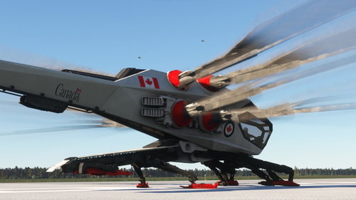 Ornithopter RCAF