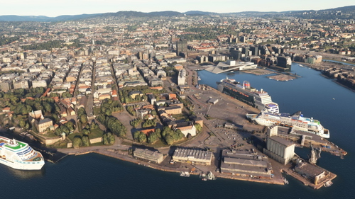 Oslo autogen tree removal